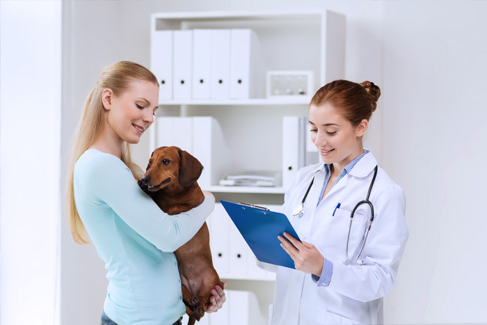 ЭЦП для оформления ветеринарных сертификатов (ГИС Меркурий) в Балакове